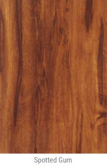 Spotted Gum